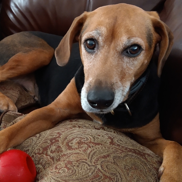 Meet your Posher, Lynn - Picture 1 of 1